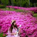 화랑마을-4 네이버블로그