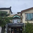 레몬비 남동점 | [인천대공원 감성카페] 분위기 미쳤다 ! 오솔갤러리카페 방문 후기🌿