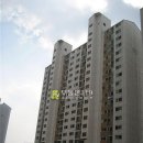 매탄로126번길 이미지