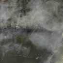 대형농장 이미지