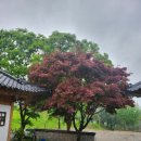 청산한옥스테이 이미지