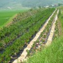 산북농장 이미지