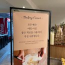 럭키골프랜드 | 제주 5성급호텔 [에코랜드호텔] 수영장, 석식뷔페, 레이크뷰 슈페리어트윈업룸 내돈내산 호캉스 숙소...