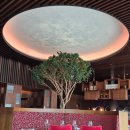 서울부페 | 서울 호텔 씨푸드 뷔페 주말 브런치 부페 파크 하얏트 서울 코너스톤 예약, 할인, 메뉴 내돈내산 후기