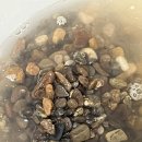 여울목 아쿠아 이미지