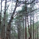 용소마을회관 이미지