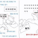 위빗 이미지