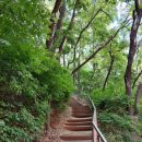 옴뿌리산근린공원 농구장 | 동작충효길 1코스 고구동산 산책하기