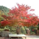 정다운마을 이미지