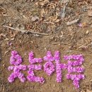 안양육교삼거리 이미지