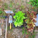 세실농장 이미지