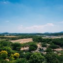 태신목장 이미지