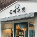 몽띠끄펫 | [애견미용] 털찐 두부! 곰탱이 탈출!(feat 몽띠끄펫)