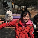 앵무새동물원 이미지