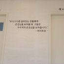 라임동물병원 | 내림 통증 바로 병원으로 Go&lt;더잘보살필걸 미안함&gt;청라라임동물병원 두번째 방문 좋아지고 있는거같아요