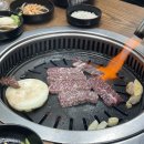 박현지토종한우 티스토리