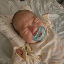 엡솔루트 | 앱솔루트 산양100 아기분유 추천 후기 신생아부터 100일까지