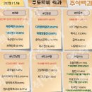 2023년 11월 16일 내일 단타 종목(시가기준), 주식 등락율 순위 이미지