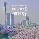 여성회관 3층 | 석촌호수 벚꽃 아기랑 2026 만개 후기! 주차장, 포토존 정보