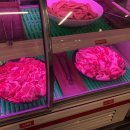 꽃삼갈비 네이버블로그
