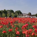 감동농장 이미지