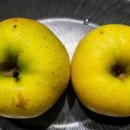 익산원예농업협동조합 이미지