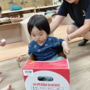 5월29일(금) 목련열매 탐색 &amp; 해태어린이 공원 이미지