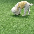 개편한 스쿨 이미지