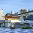세종특별자치시 치매안심센터(어진동) 이미지