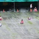 가평썰매장 이미지