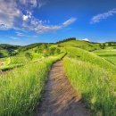 공공용 28 이미지