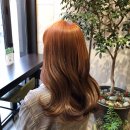 hair봄 이미지