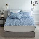 아이리스 이미지