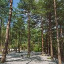 에버스테이 이미지