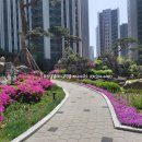 정원공인중개사사무소 이미지