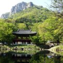 개인택시(콜택시) 이미지