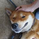 진순2호 이미지