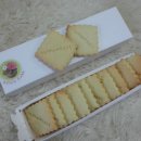 올리비아콩콩