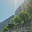 대림건축 | [임장 후기] 응봉 재건축 벨트 핵심 대림2차 움직인다…신흥부촌 신호탄?