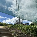 밀양그라운드골프장 | [경남 밀양] 밀양 창원근교 애견 카페 애견 동반 ‘그라운드펫’ (내돈내산 , 솔직후기)