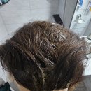 비엔나헤어 | 새치염색약 추천 "비엔나 헤어 컬러 샴푸", 비엔나커피 염색 샴푸 후기