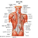 스포츠마사지 효과 사진 설명 이미지