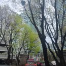 서울중앙지방법원 등기국 청사 | 아크로비스타 상가 주차장 후기(ft. 서울중앙지방법원 주차)