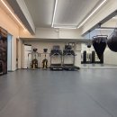 스타복싱클럽 이미지