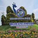 진천종합운동장 이미지