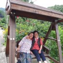 샘뜰목장 이미지