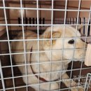 봉곡동042 이미지