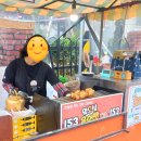 사파동153 이미지