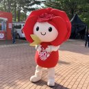 장미축제 첫날부터 마지막날까지 현장스케치 & 바다, 차지연, 조째즈, 로이킴, 서영은, 롤라장 공연 후기