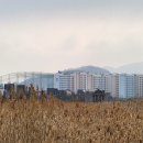 플래니터리헬스 이미지